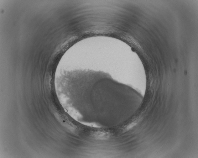 X0000064740542200603131321