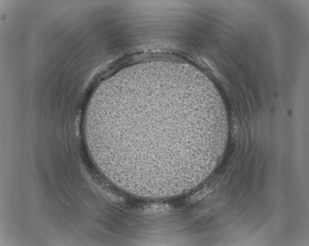 X0000064740543200603131321