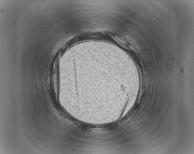 X0000064740544200603131321