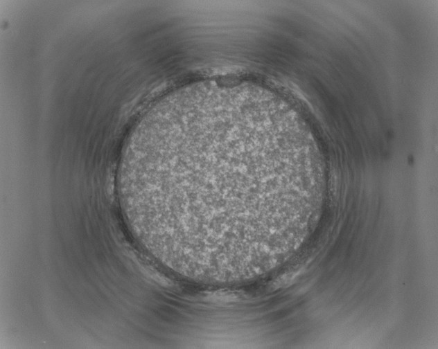 X0000064740545200603131321