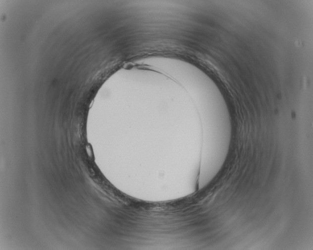 X0000064740546200603131321