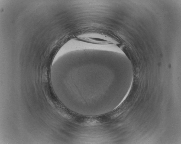 X0000064740547200603131321