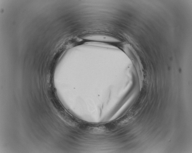 X0000064740548200603131321