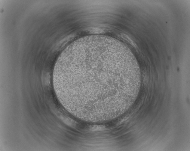 X0000064740549200603131321