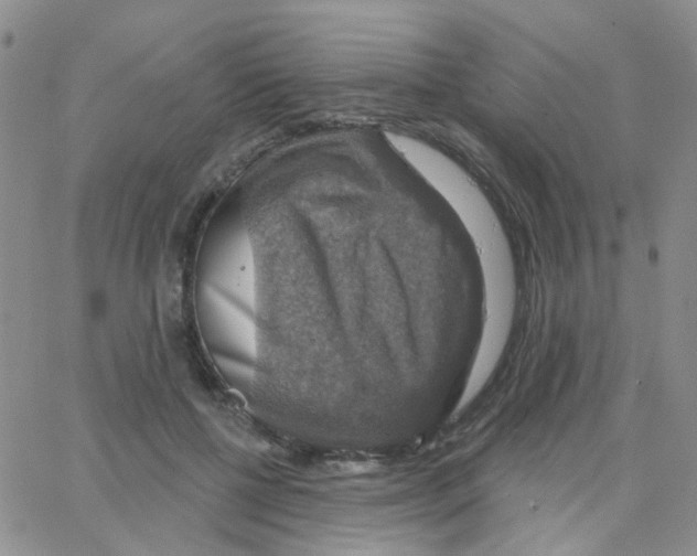 X0000064740552200603131321