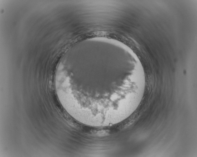 X0000064740553200603131321