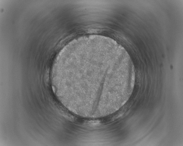 X0000064740554200603131321