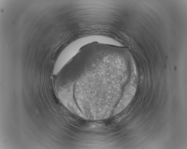 X0000064740555200603131321