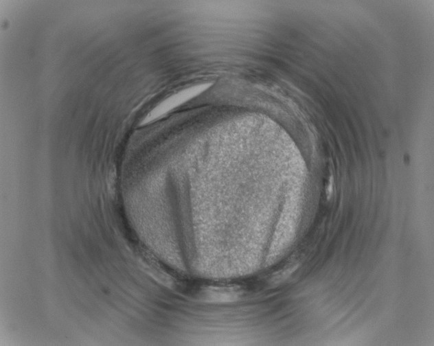 X0000064740556200603131321