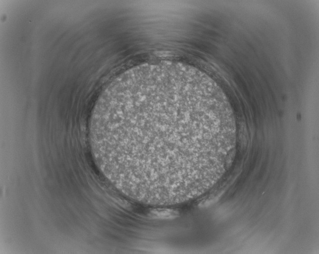 X0000064740557200603131321