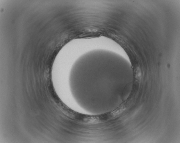 X0000064740559200603131321