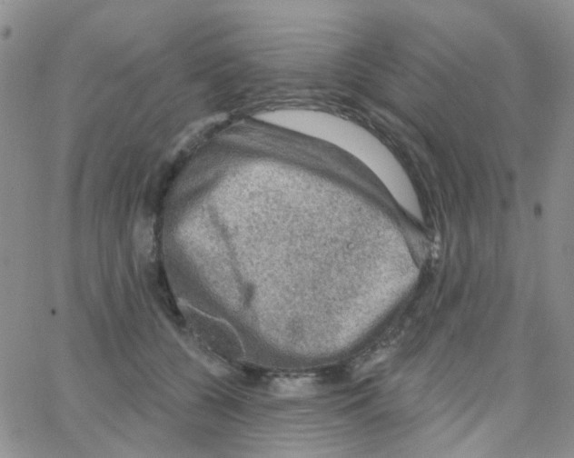 X0000064740560200603131321