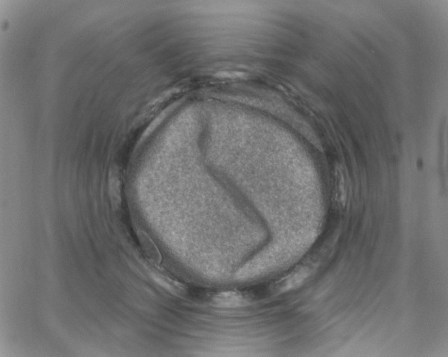 X0000064740562200603131321