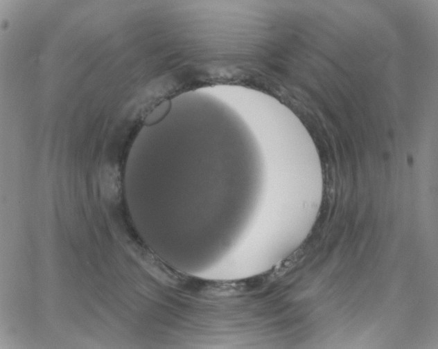 X0000064740563200603131321