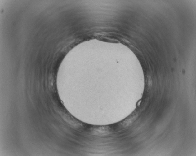 X0000064740567200603131321