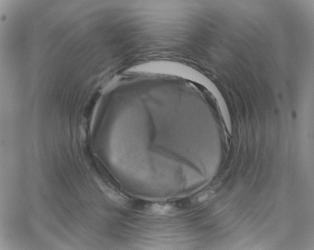 X0000064740570200603131321