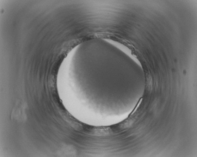 X0000064740571200603131321