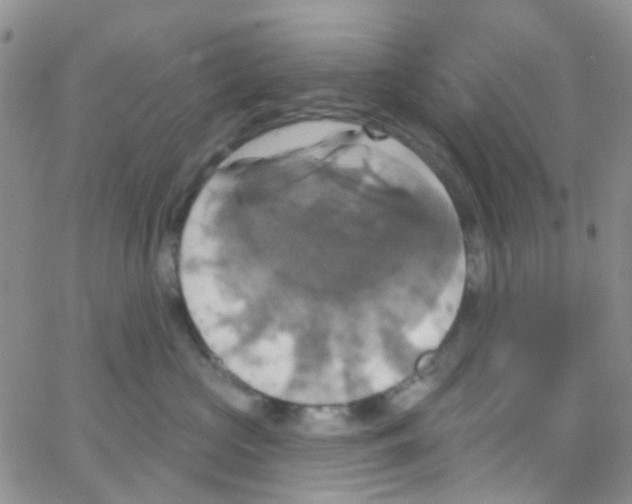 X0000064740573200603131321