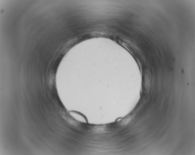 X0000064740574200603131321