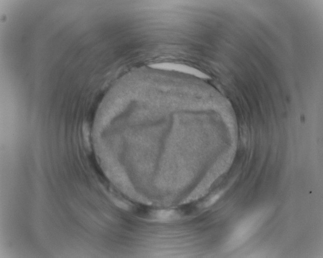 X0000064740575200603131321