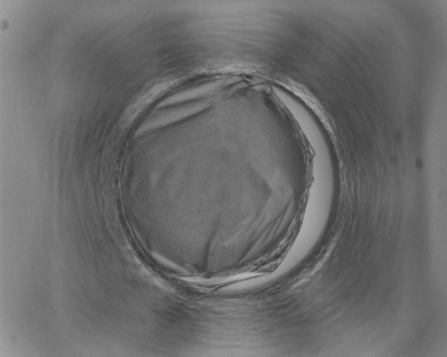 X0000064740577200603131321