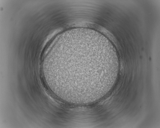 X0000064740578200603131321