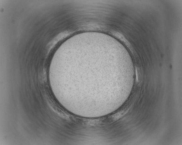 X0000064740579200603131321