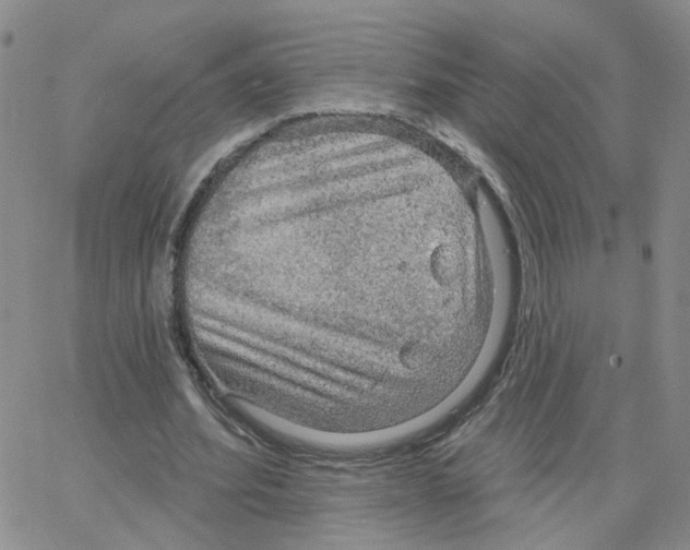 X0000064740580200603131321