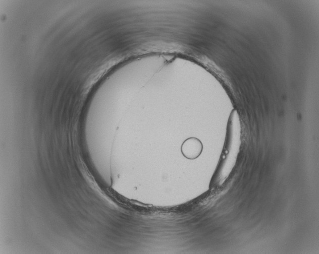 X0000064740581200603131320