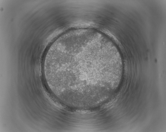 X0000064740582200603131320