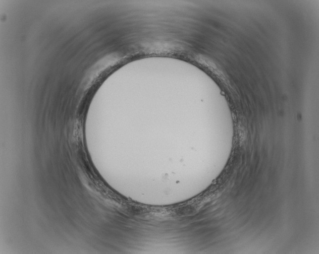 X0000064740583200603131320