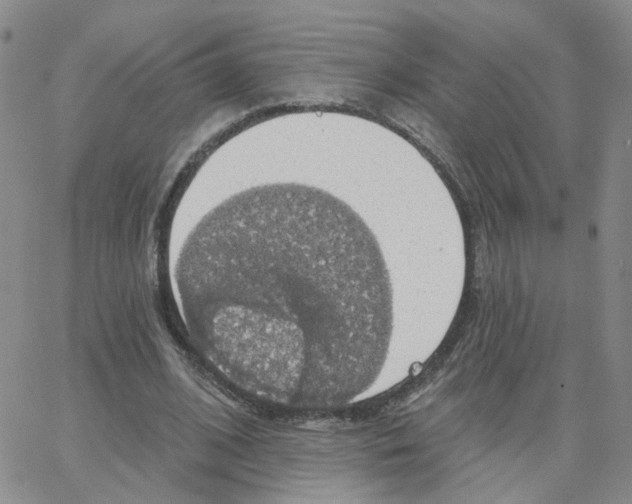 X0000064740584200603131320