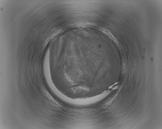 X0000064740585200603131320