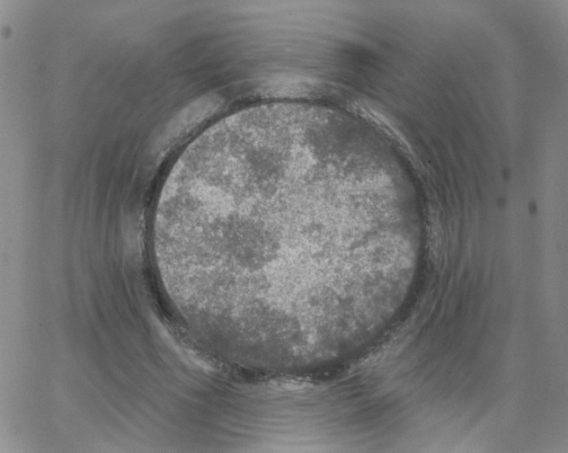 X0000064740586200603131320