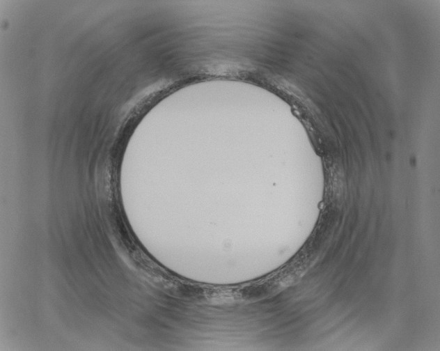 X0000064740587200603131320