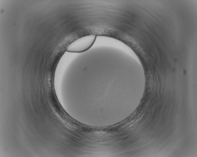 X0000064740590200603131320