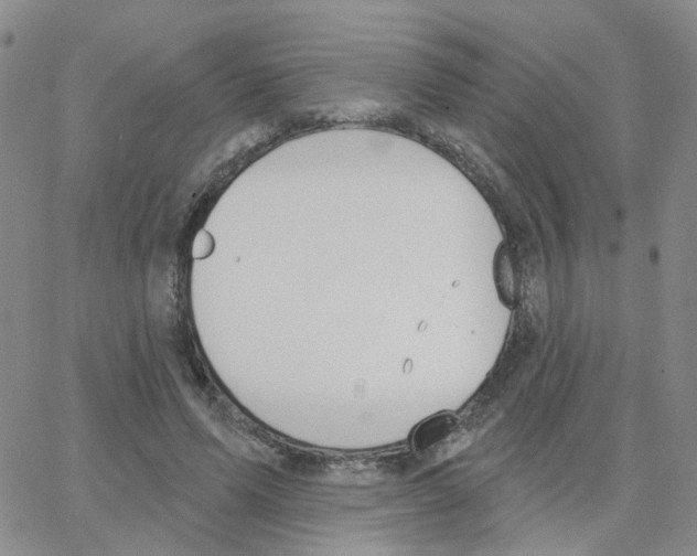 X0000064740591200603131320