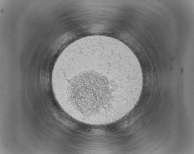 X0000064740592200603131320