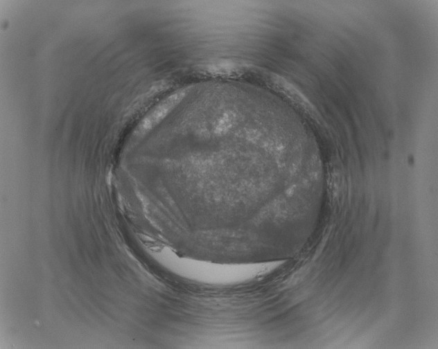 X0000064740593200603131320