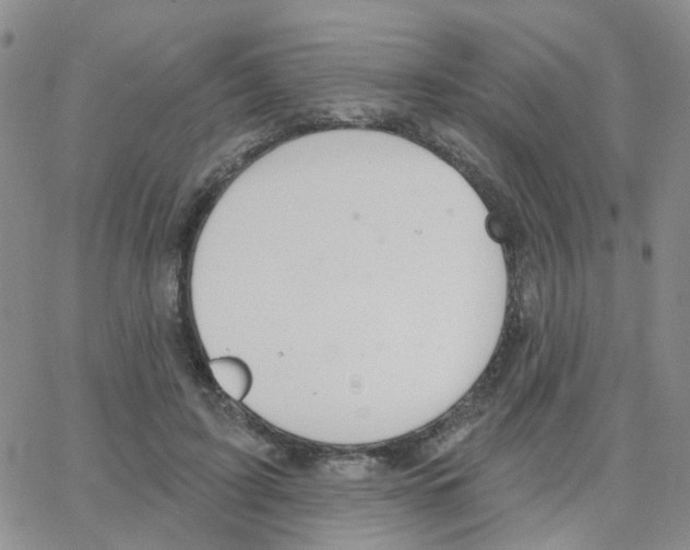 X0000064740595200603131320