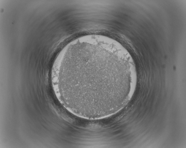 X0000064740596200603131320