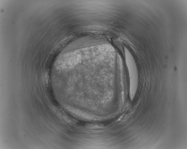 X0000064740597200603131320