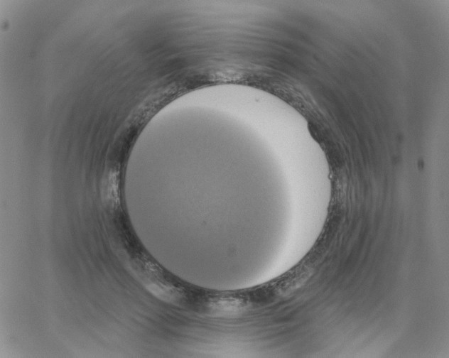 X0000064740598200603131320