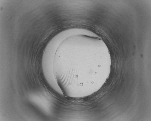 X0000064740599200603131320