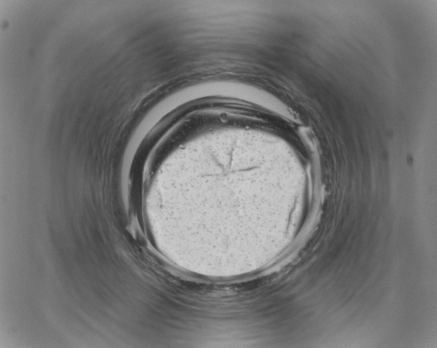 X0000064740600200603131320