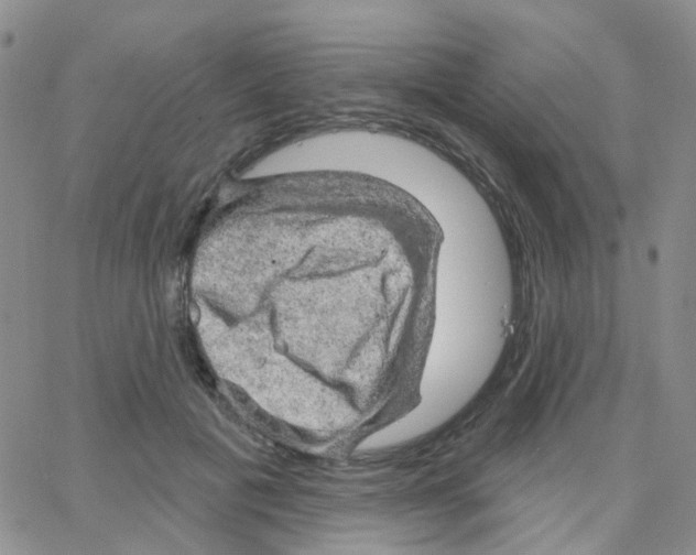 X0000064740601200603131320