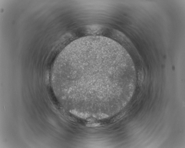 X0000064740602200603131320