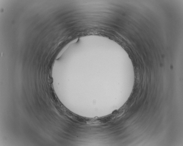 X0000064740603200603131320