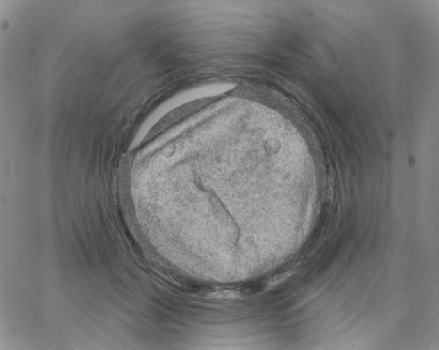 X0000064740604200603131320