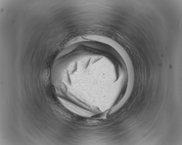 X0000064740605200603131320